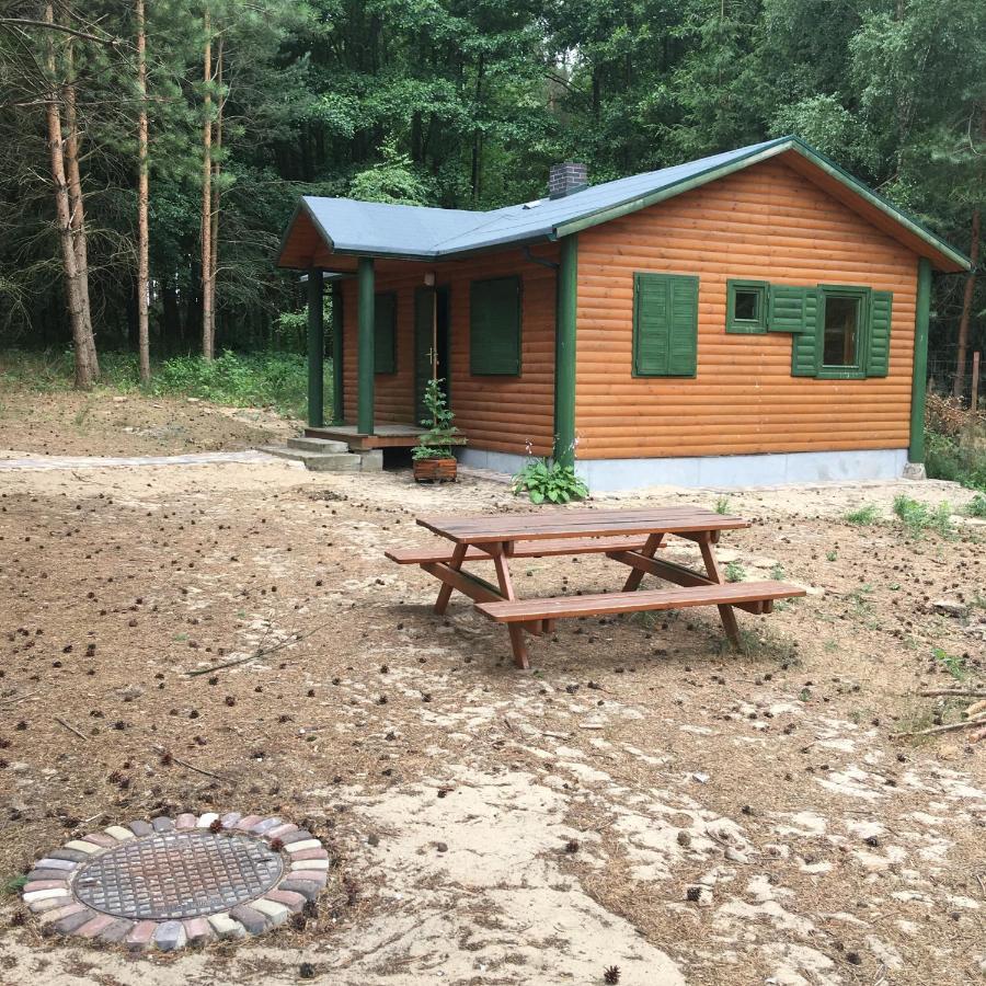Agroturystyka Oaza Ciszy I Spokoju Miedzychod Bagian luar foto