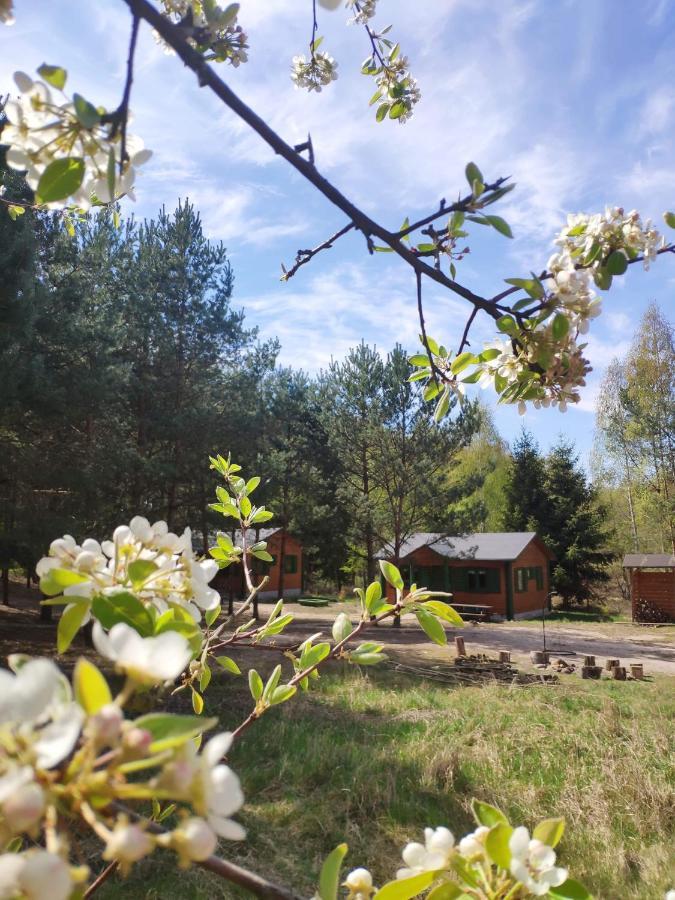 Agroturystyka Oaza Ciszy I Spokoju Miedzychod Bagian luar foto