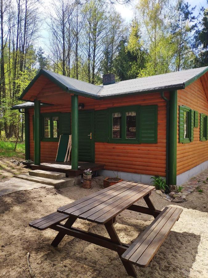 Agroturystyka Oaza Ciszy I Spokoju Miedzychod Bagian luar foto