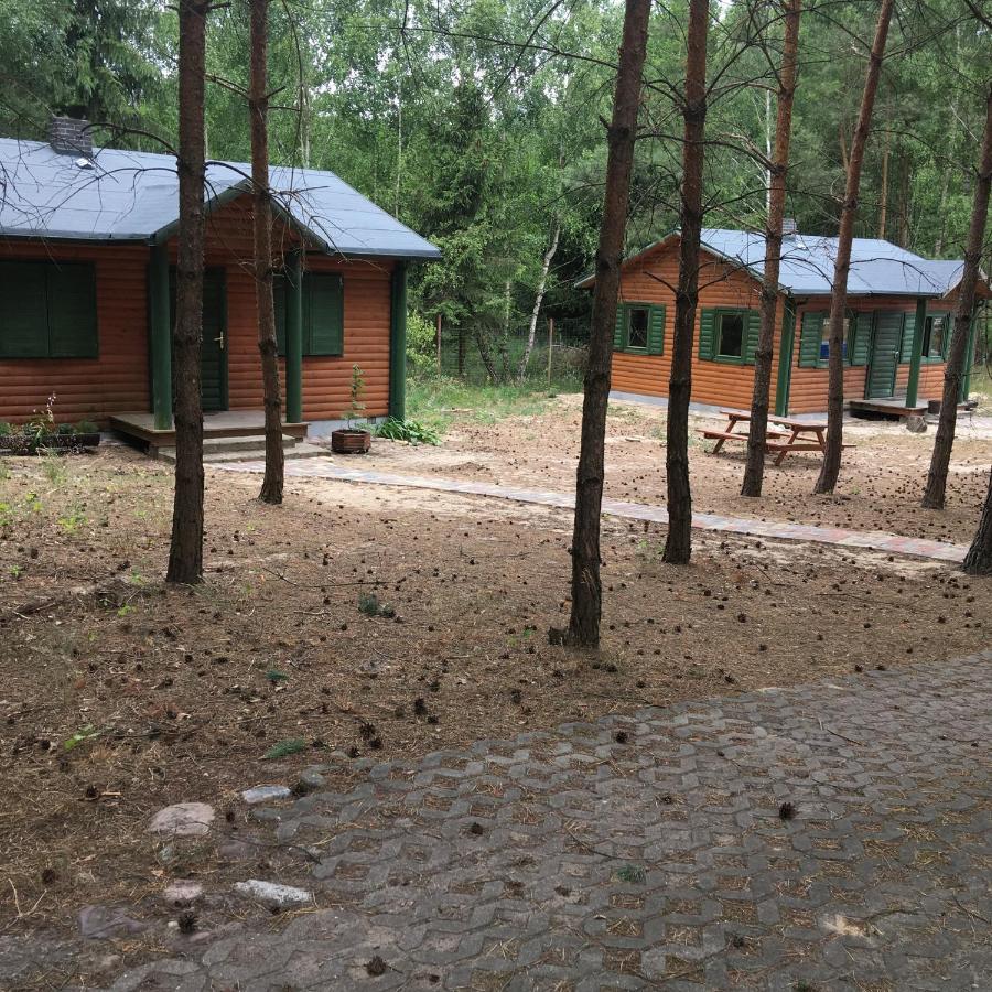 Agroturystyka Oaza Ciszy I Spokoju Miedzychod Bagian luar foto