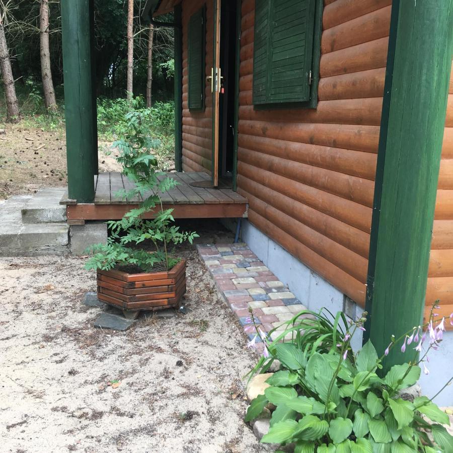 Agroturystyka Oaza Ciszy I Spokoju Miedzychod Bagian luar foto
