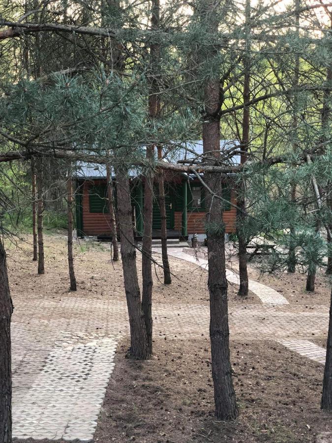 Agroturystyka Oaza Ciszy I Spokoju Miedzychod Bagian luar foto