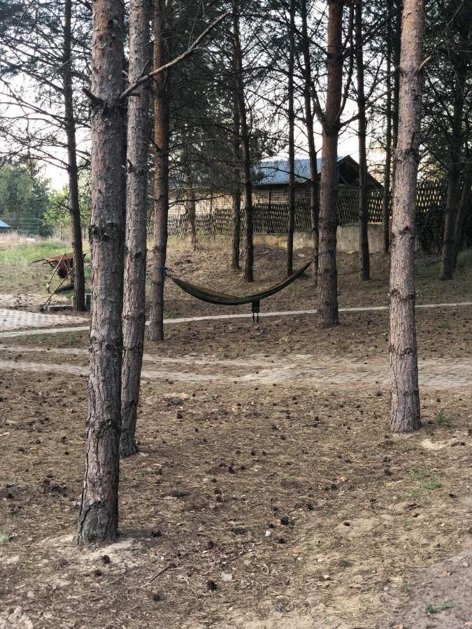 Agroturystyka Oaza Ciszy I Spokoju Miedzychod Bagian luar foto