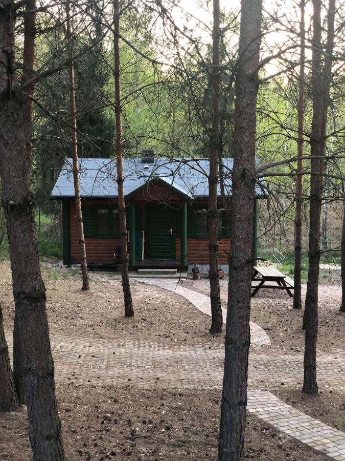 Agroturystyka Oaza Ciszy I Spokoju Miedzychod Bagian luar foto